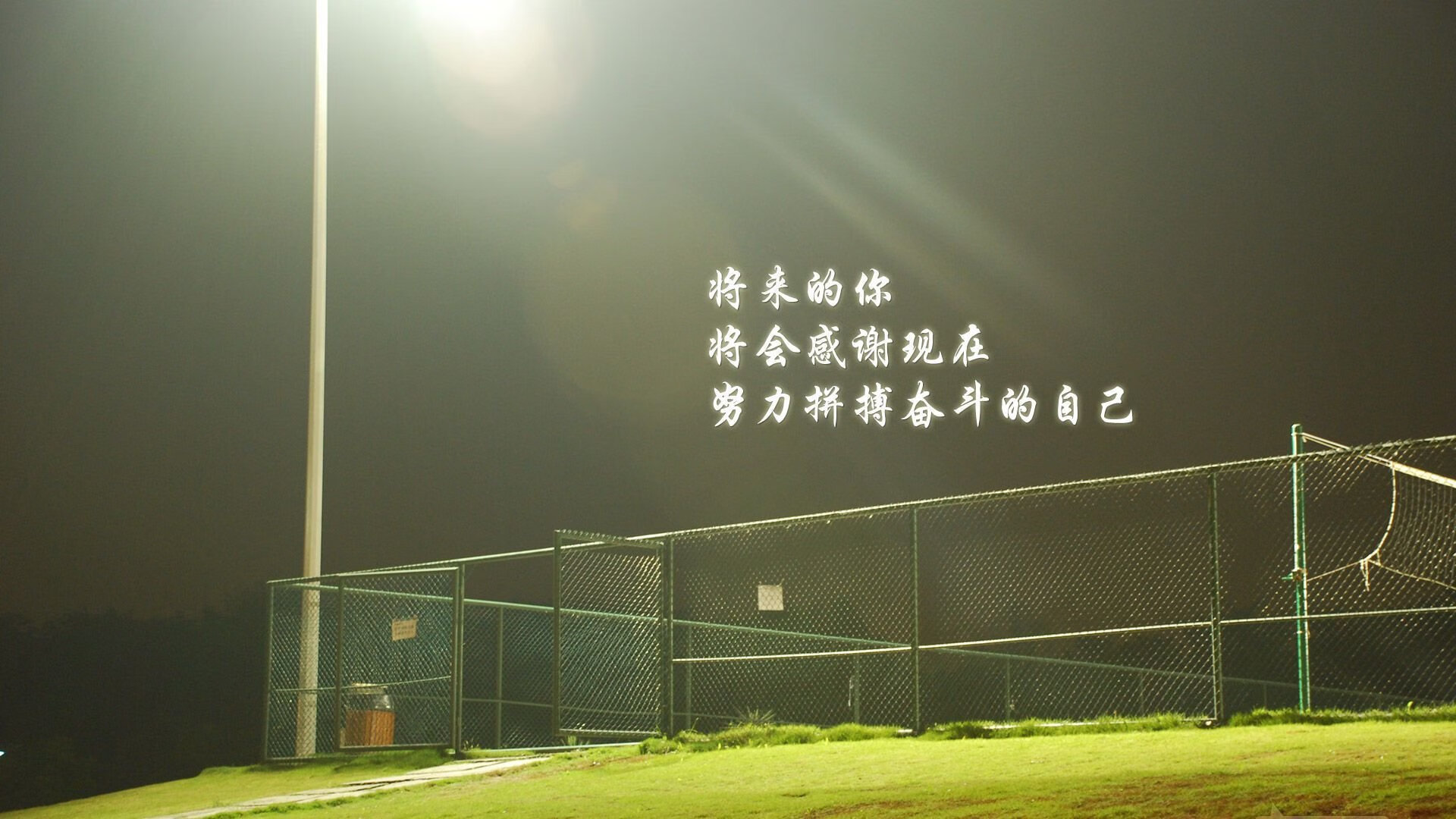 爱游戏娱乐-谢佩玲完美入水赢得现场喝彩，谢佩新简历